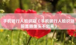 手机银行人脸识别（手机银行人脸识别前置摄像头不出来）