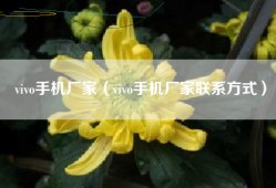 vivo手机厂家（vivo手机厂家联系方式）