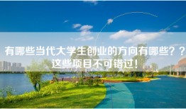 有哪些当代大学生创业的方向有哪些？？这些项目不可错过！
