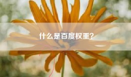 什么是百度权重？