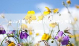 nckia手机（nckia是什么牌子手机）