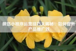 微信小程序运营技巧大揭秘：如何提升产品推广效
