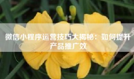 微信小程序运营技巧大揭秘：如何提升产品推广效
