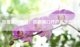 百度开户费用，百度端口开户多少返点？