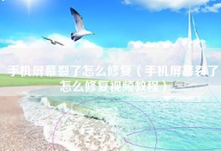 手机屏幕裂了怎么修复（手机屏幕裂了怎么修复视频教程）