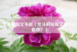 北斗短报文手机（北斗的短报文是什么意思？）