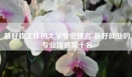 最好找工作的大学专业排名-最好就业的专业排名前十名