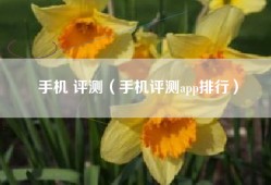 手机 评测（手机评测app排行）
