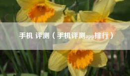手机 评测（手机评测app排行）
