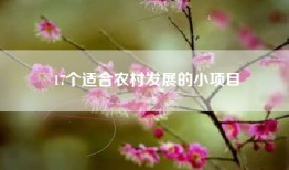 17个适合农村发展的小项目