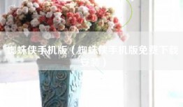 蜘蛛侠手机版（蜘蛛侠手机版免费下载安装）