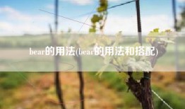 bear的用法(bear的用法和搭配)