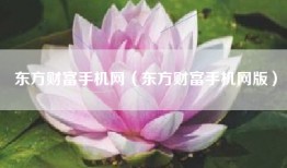 东方财富手机网（东方财富手机网版）