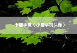小猫手机（小猫手机头像）