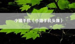 小猫手机（小猫手机头像）