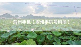 滨州手机（滨州手机号码段）