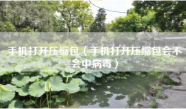 手机打开压缩包（手机打开压缩包会不会中病毒）