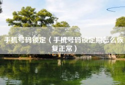 手机号码锁定（手机号码锁定期怎么恢复正常）
