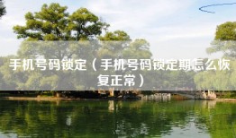手机号码锁定（手机号码锁定期怎么恢复正常）