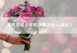 手机价钱（手机价格大全vivo新款）