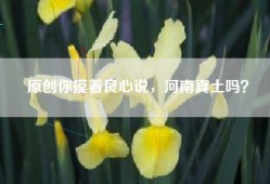 原创你摸着良心说，河南真土吗？