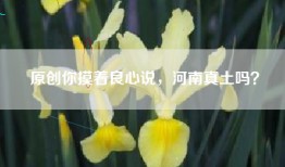 原创你摸着良心说，河南真土吗？