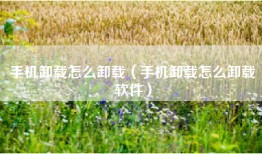 手机卸载怎么卸载（手机卸载怎么卸载软件）