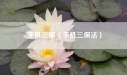 手机三保（手机三保法）