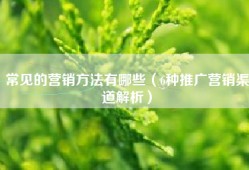 常见的营销方法有哪些（6种推广营销渠道解析）