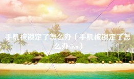 手机被锁定了怎么办（手机被锁定了怎么办vivo）
