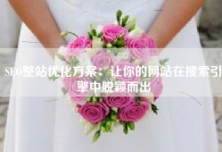 SEO整站优化方案：让你的网站在搜索引擎中脱颖而出