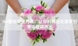 SEO整站优化方案：让你的网站在搜索引擎中脱颖而出