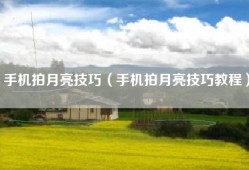 手机拍月亮技巧（手机拍月亮技巧教程）