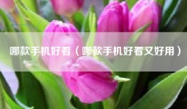 哪款手机好看(哪款手机好看又好用)