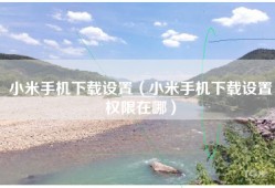 小米手机下载设置（小米手机下载设置权限在哪）