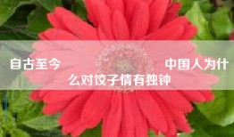 自古至今🇨🇳中国人为什么对饺子情有独钟