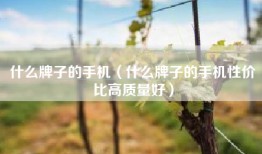 什么牌子的手机（什么牌子的手机性价比高质量好）