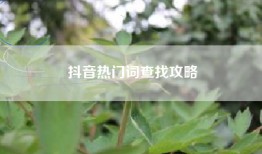 抖音热门词查找攻略