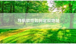 导航软件如何定位地址