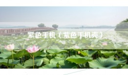 紫色手机（紫色手机壳）