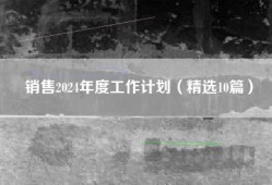 销售2024年度工作计划（精选10篇）