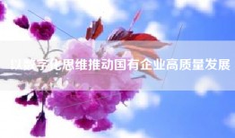 以数字化思维推动国有企业高质量发展