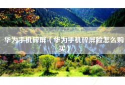 华为手机碎屏（华为手机碎屏险怎么购买）
