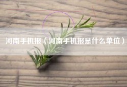 河南手机报（河南手机报是什么单位）