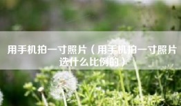 用手机拍一寸照片（用手机拍一寸照片选什么比例的）