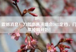 震撼消息！刀郎南昌演唱会2025定档，门票抢购开始！