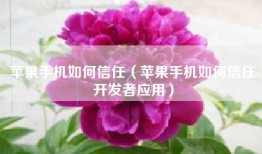 苹果手机如何信任（苹果手机如何信任开发者应用）