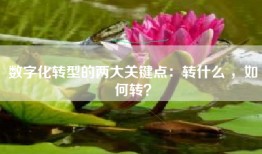 数字化转型的两大关键点：转什么 ，如何转？