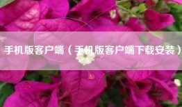 手机版客户端（手机版客户端下载安装）