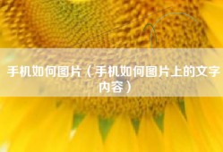 手机如何图片（手机如何图片上的文字内容）